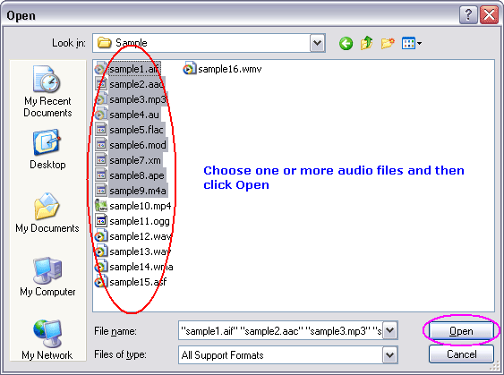 Choose one or more RAM file(s)